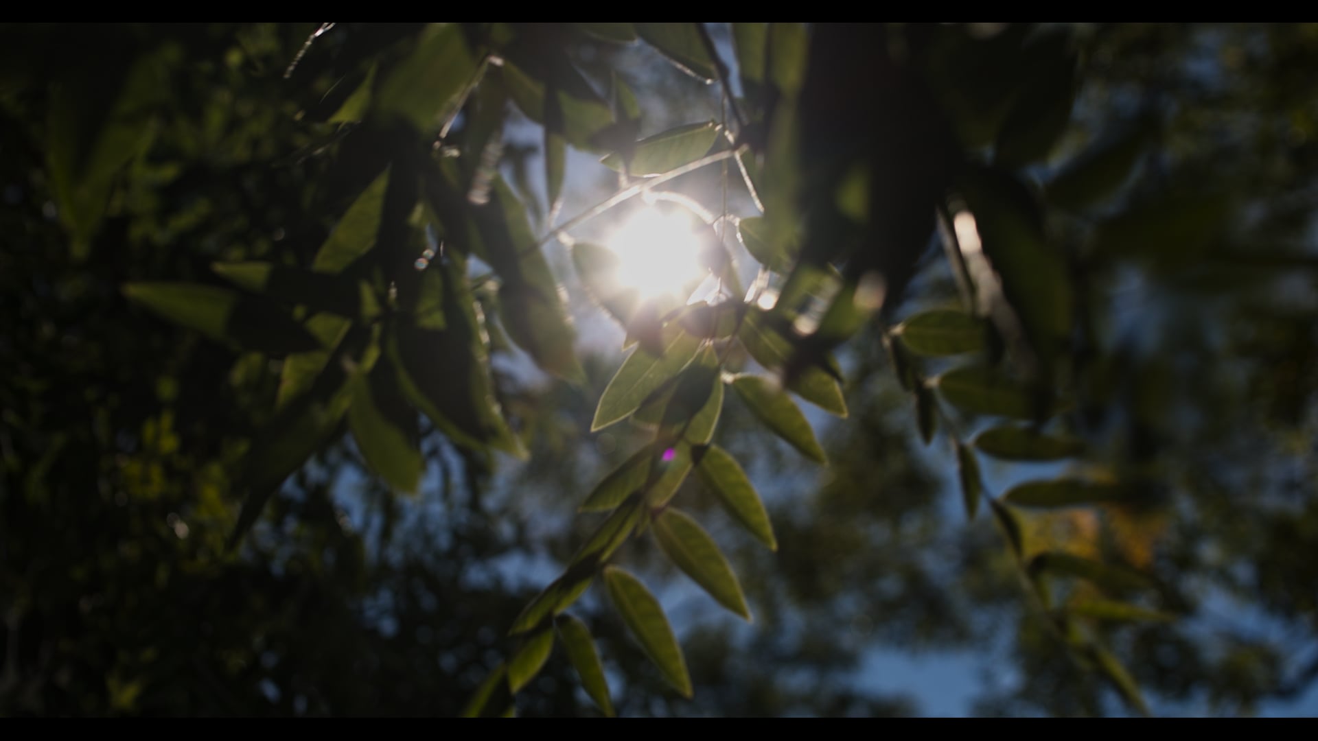 chrittemann media | Show-Reel | 2023