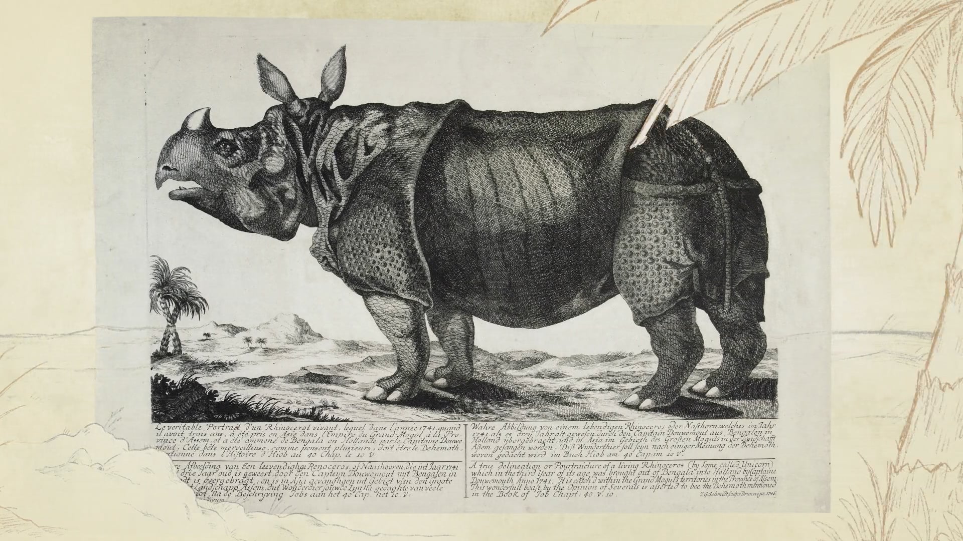 Rijksmuseum // Clara