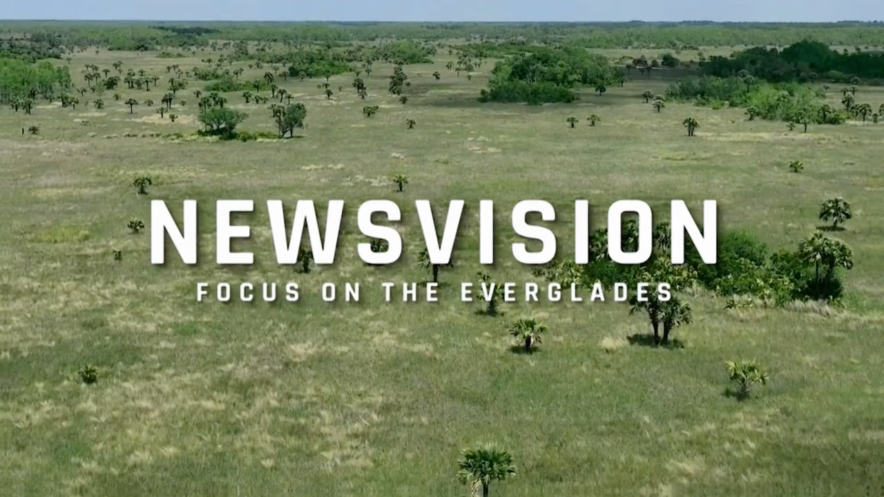 NewsVision: Focus on the Everglades