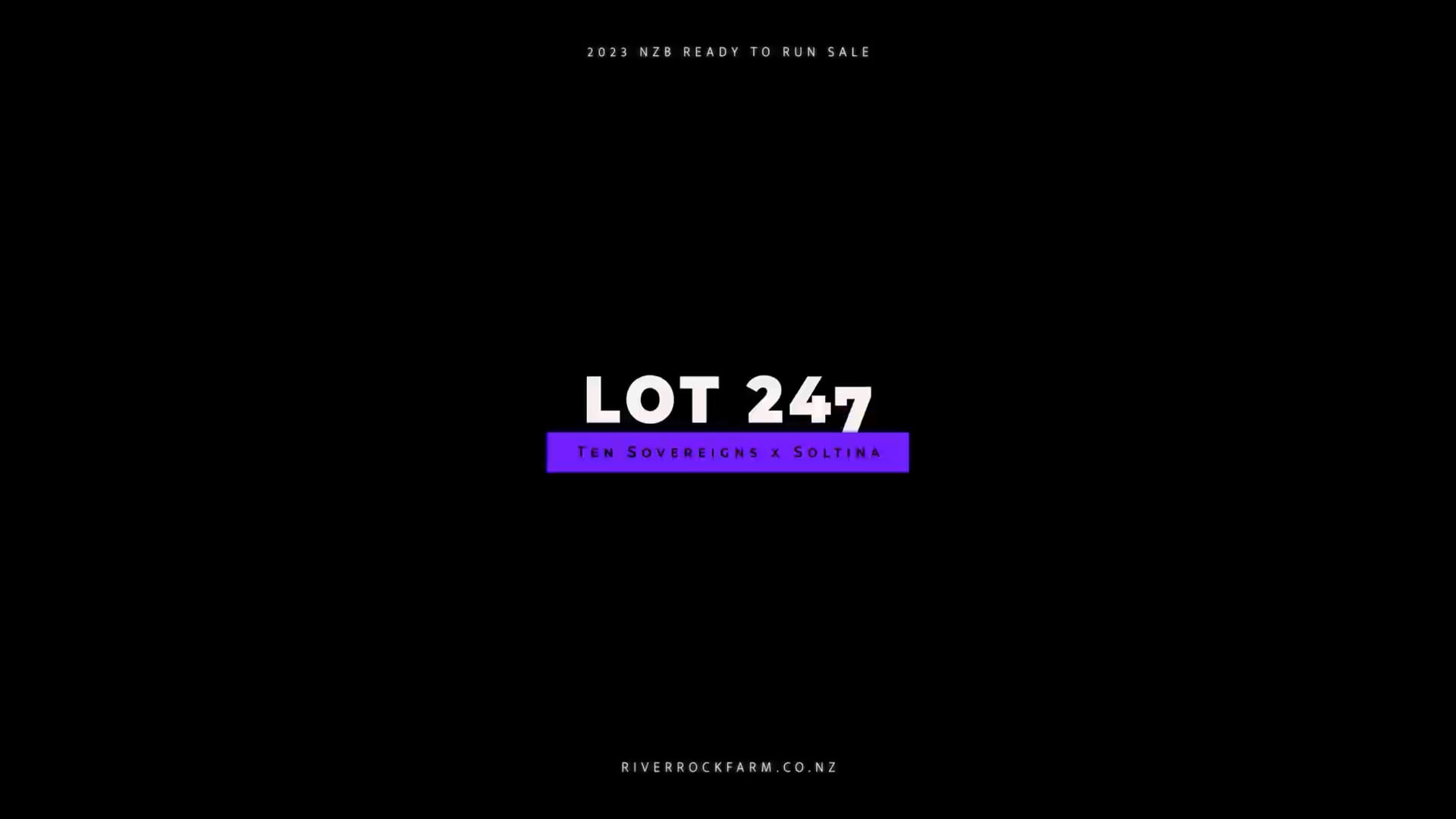 23RTR, Lot 247