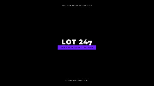 Lot 247