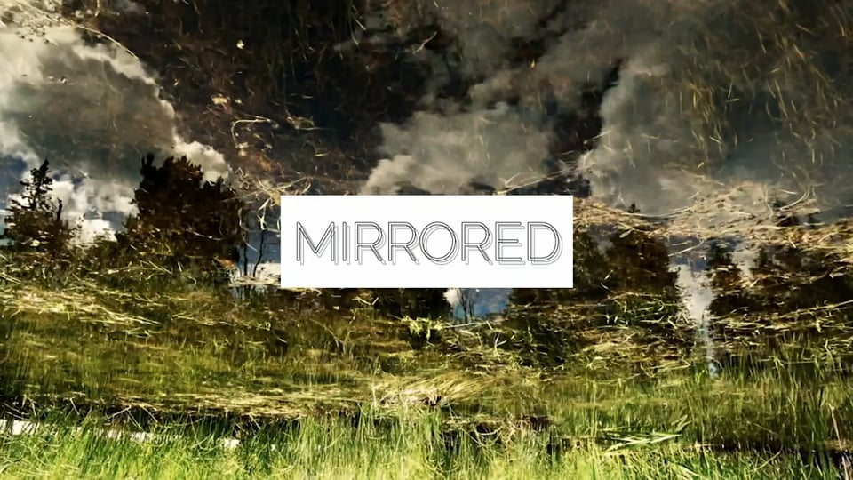 mirrored