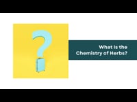 Herbalist: Module 03 Part 02