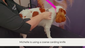 Carding the Fluffy Coat