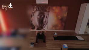 Vinyasa Flow 13-11-2023