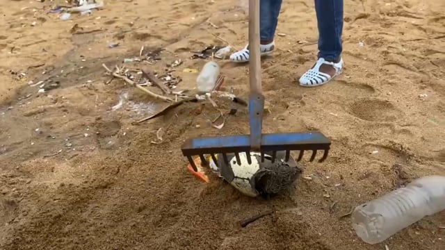 Le cri de la mer - Vidéo ePOP