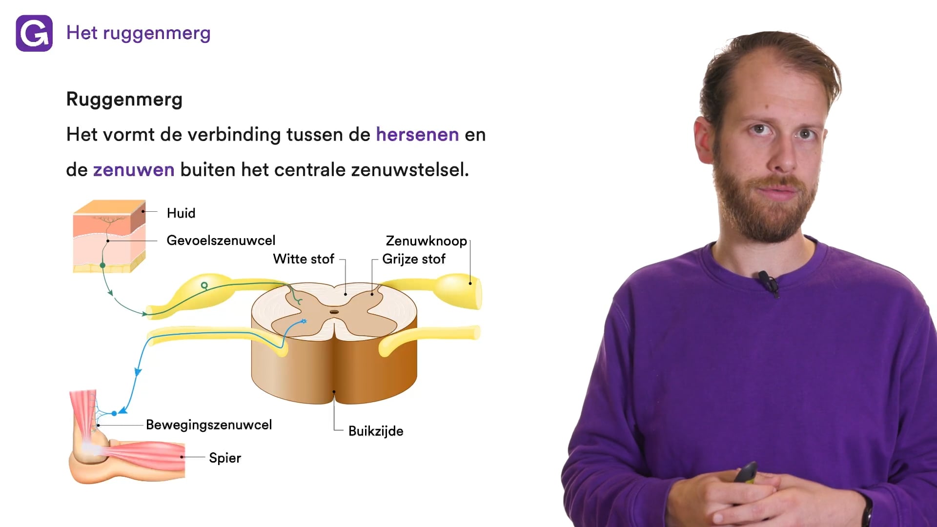 Het ruggenmerg oefenen | StudyGo