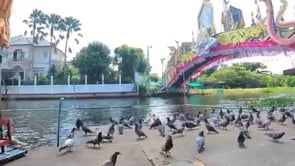 bplee_bird.mp4