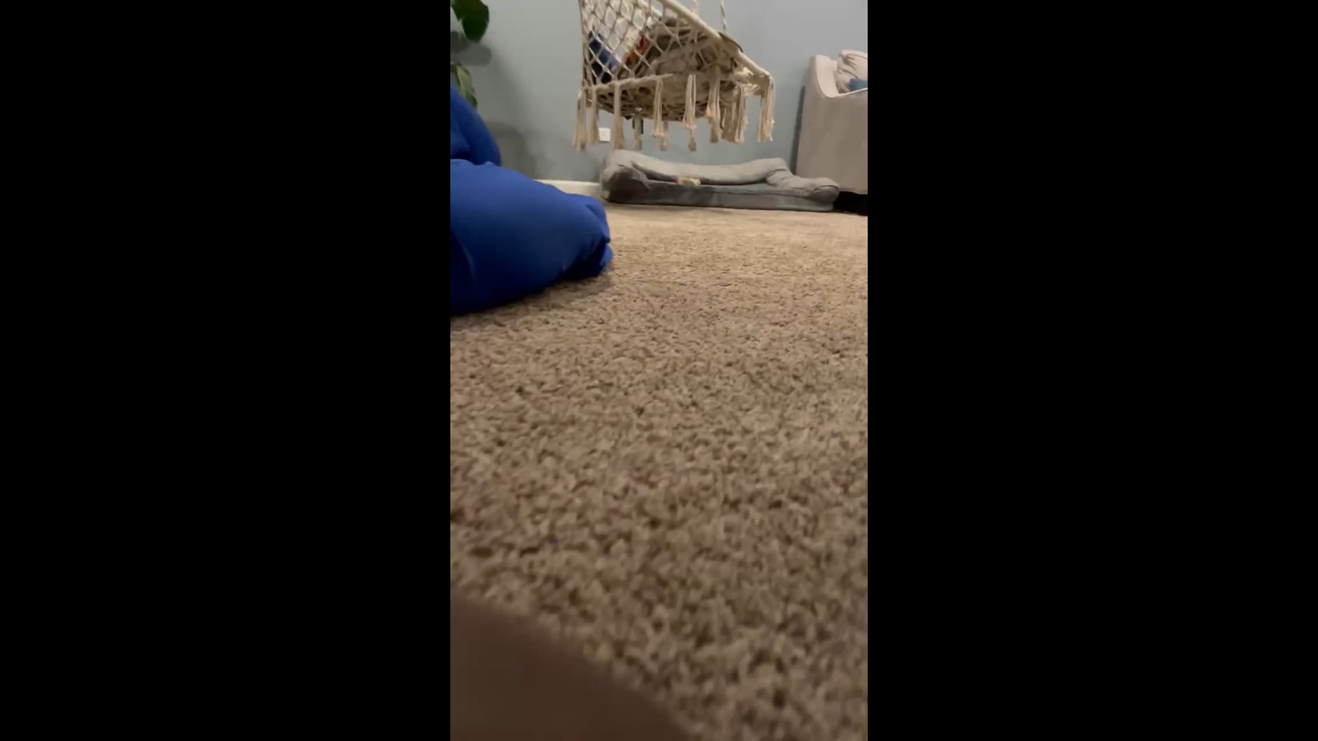 Watch micah awe's Push Ups: 78 push ups