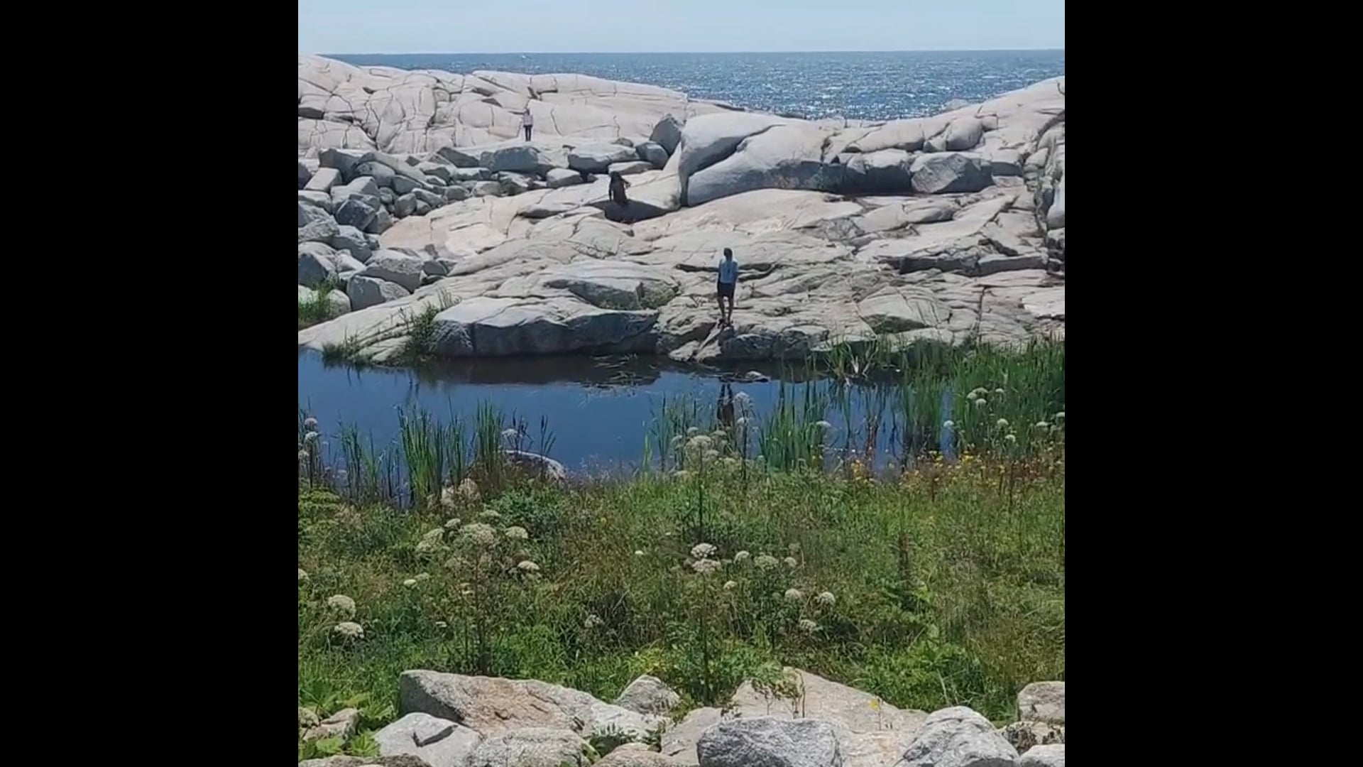 Watch emmett young's defensive end film