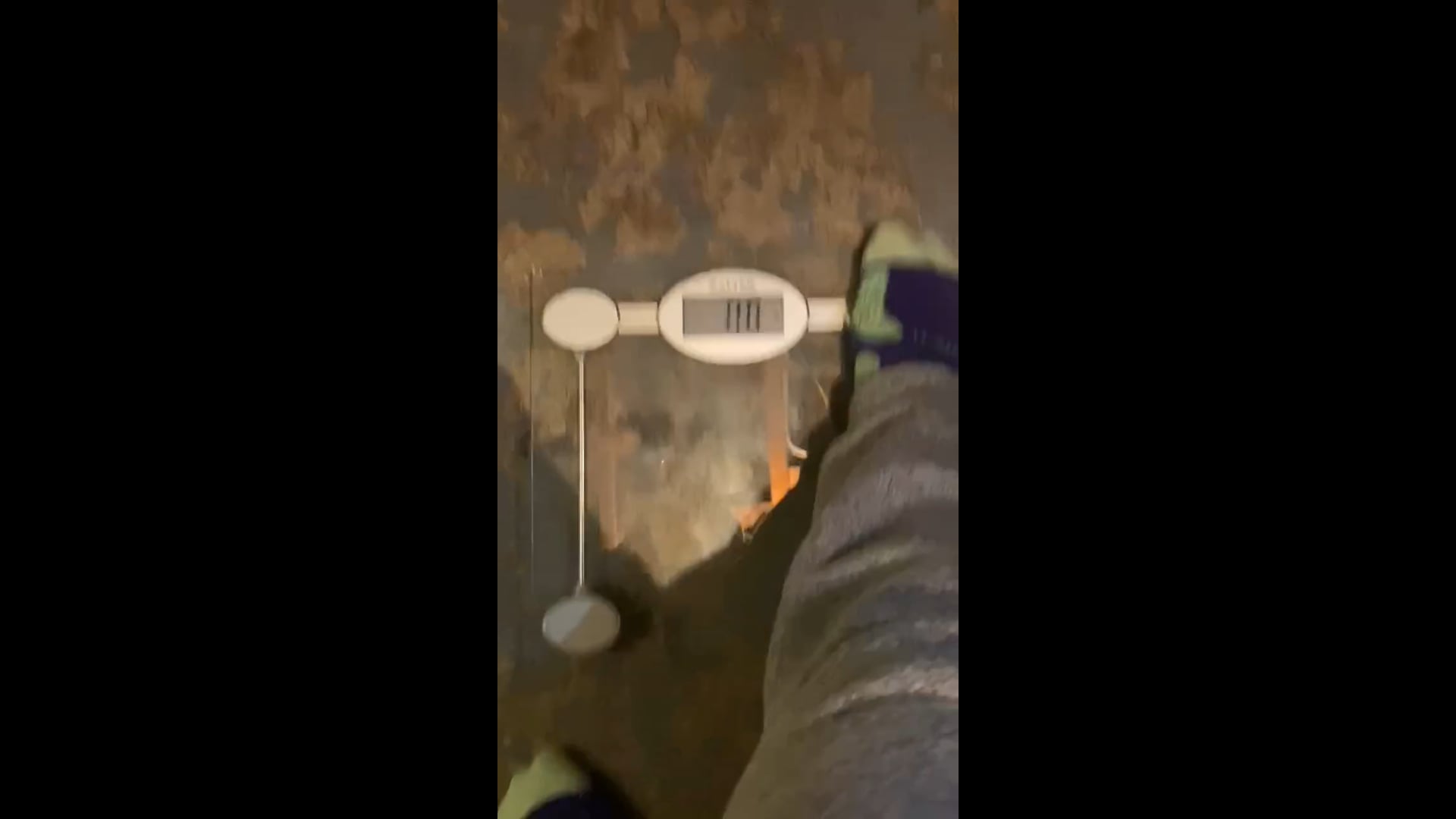 Watch gregory howe's Weight: Pending