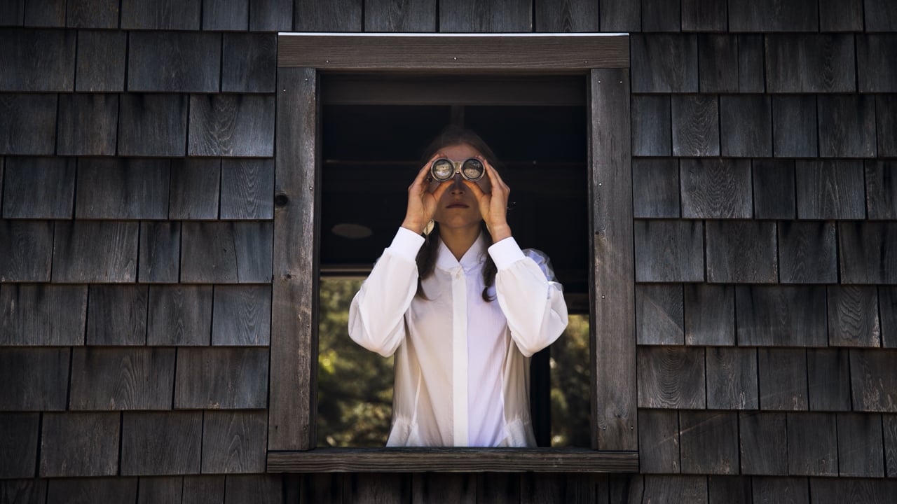 The Great Blue Heron