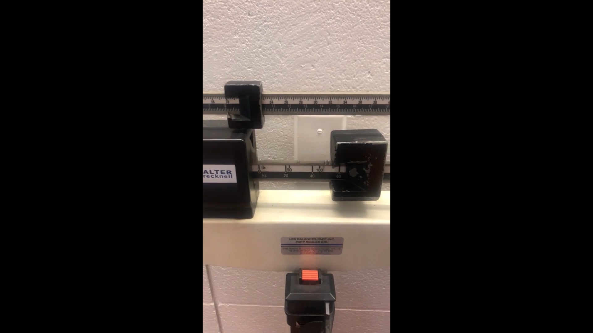 Watch sharlyn vixamar's Weight: 158.73 pounds