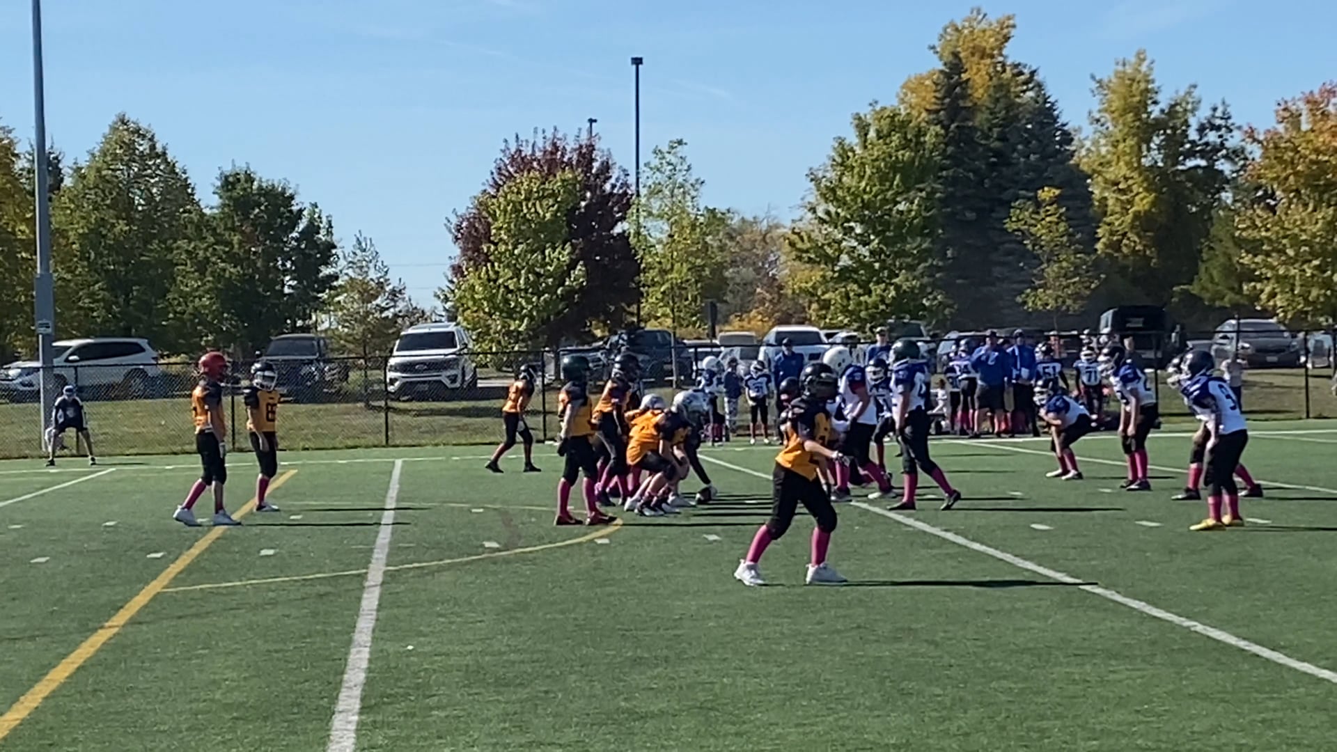 Watch PurpleShift athlete on PurpleShift