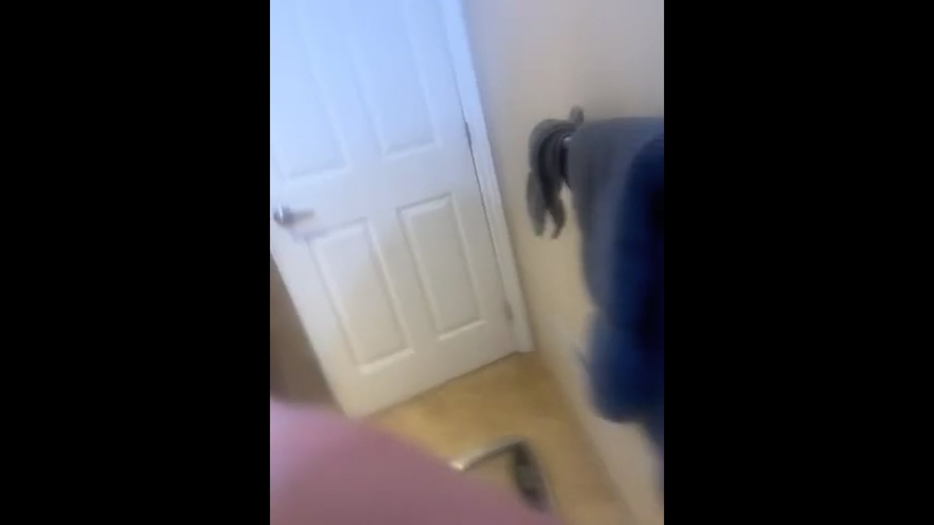 Watch PurpleShift athlete's Weight: 171 pounds