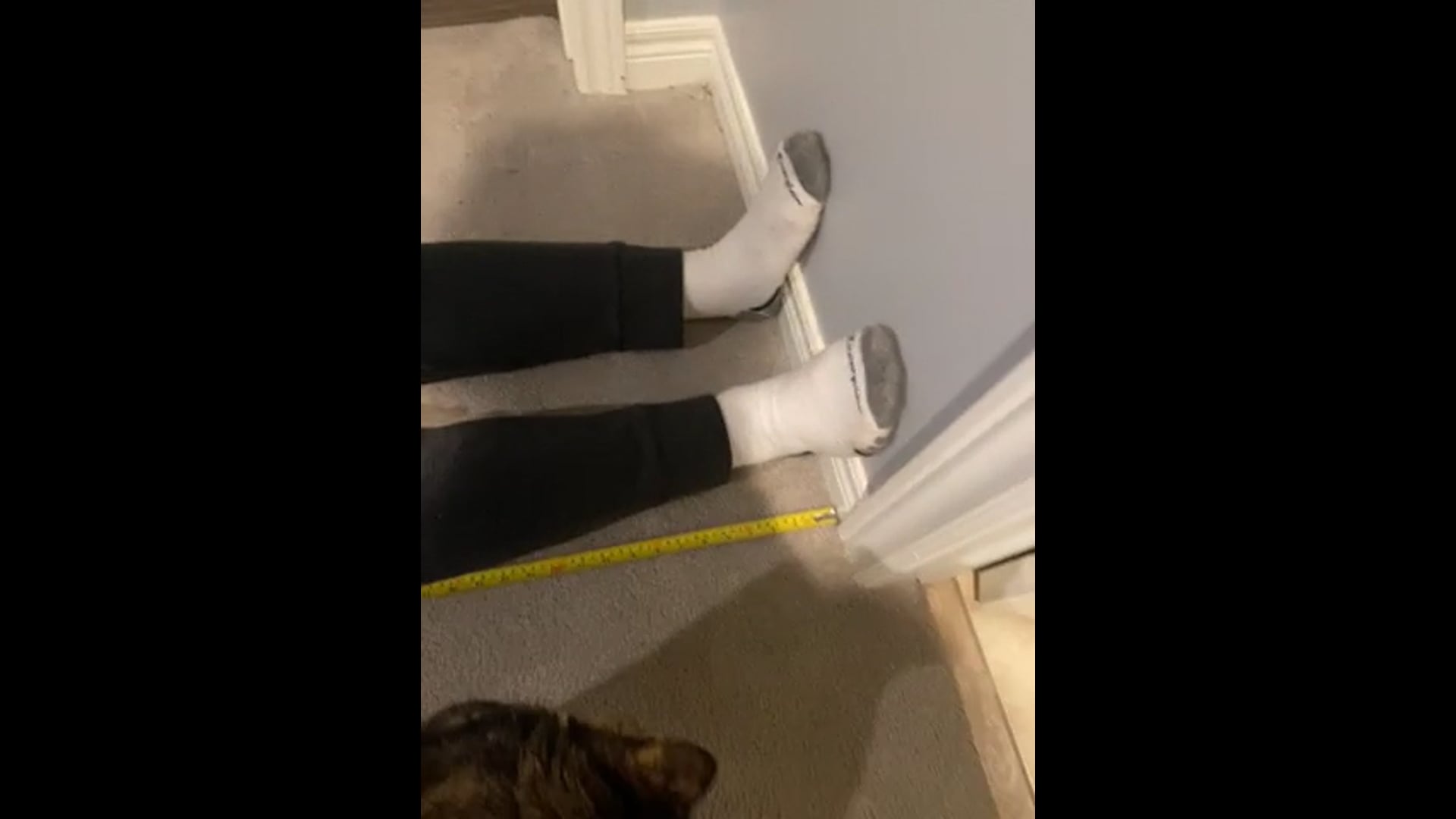 Watch PurpleShift athlete's Height: 71.2 inches