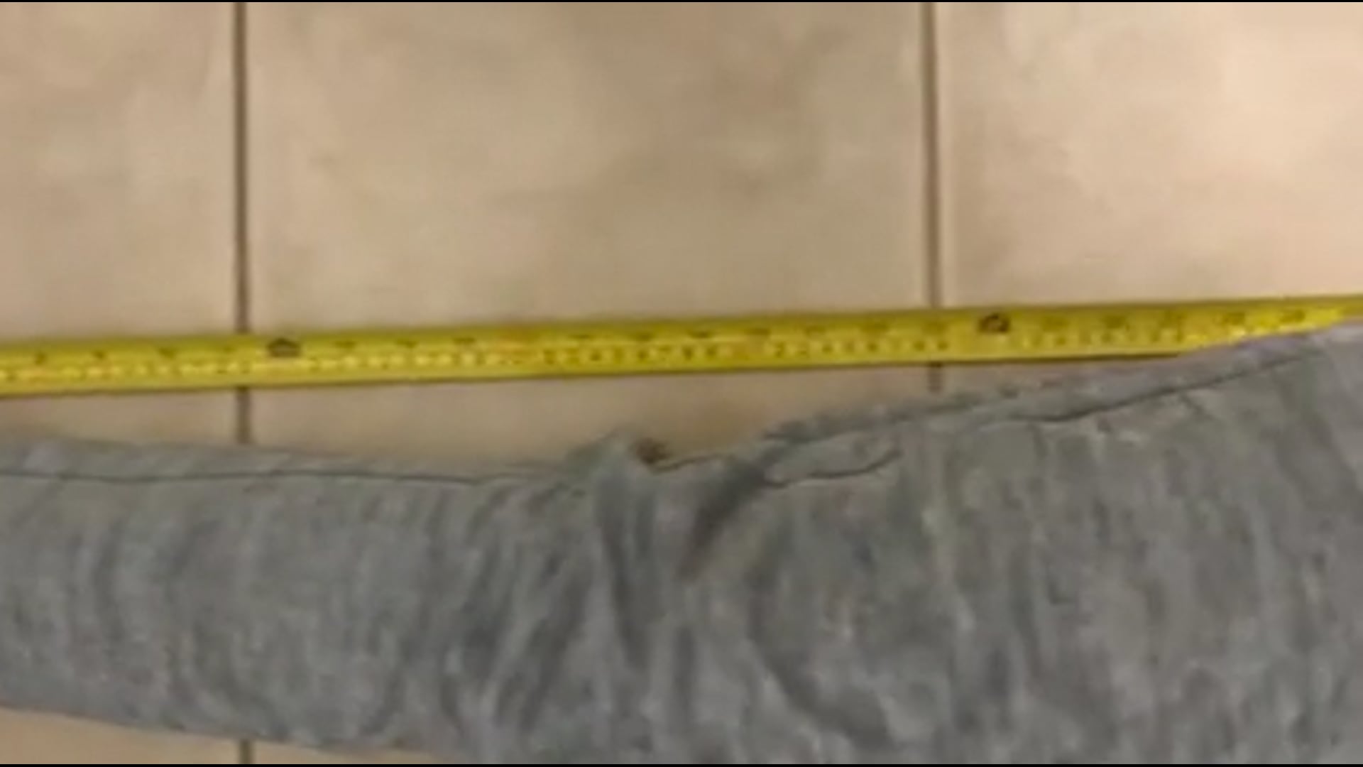 Watch PurpleShift athlete's Height: 64.4 inches
