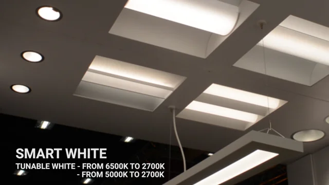 Tunable White - Elitelighting