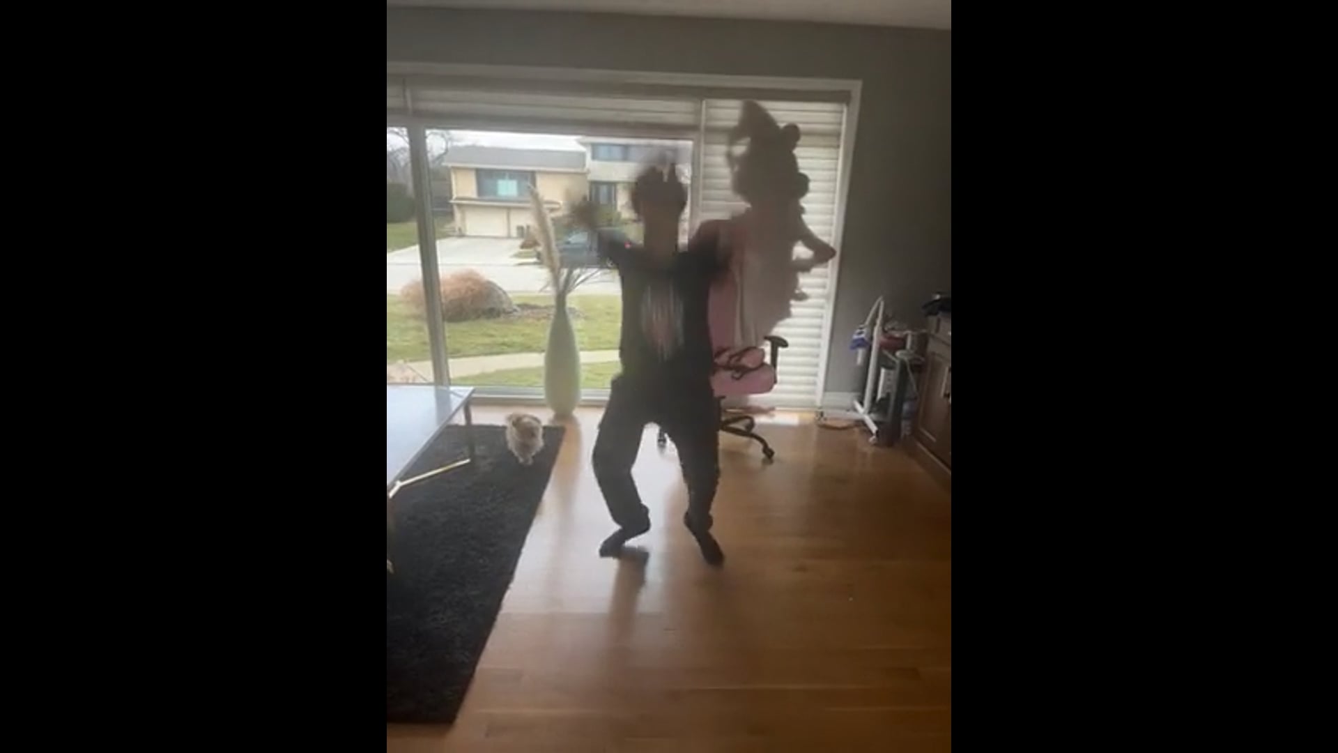 Watch cruz vonic's Vertical Jump: 14.58 inches