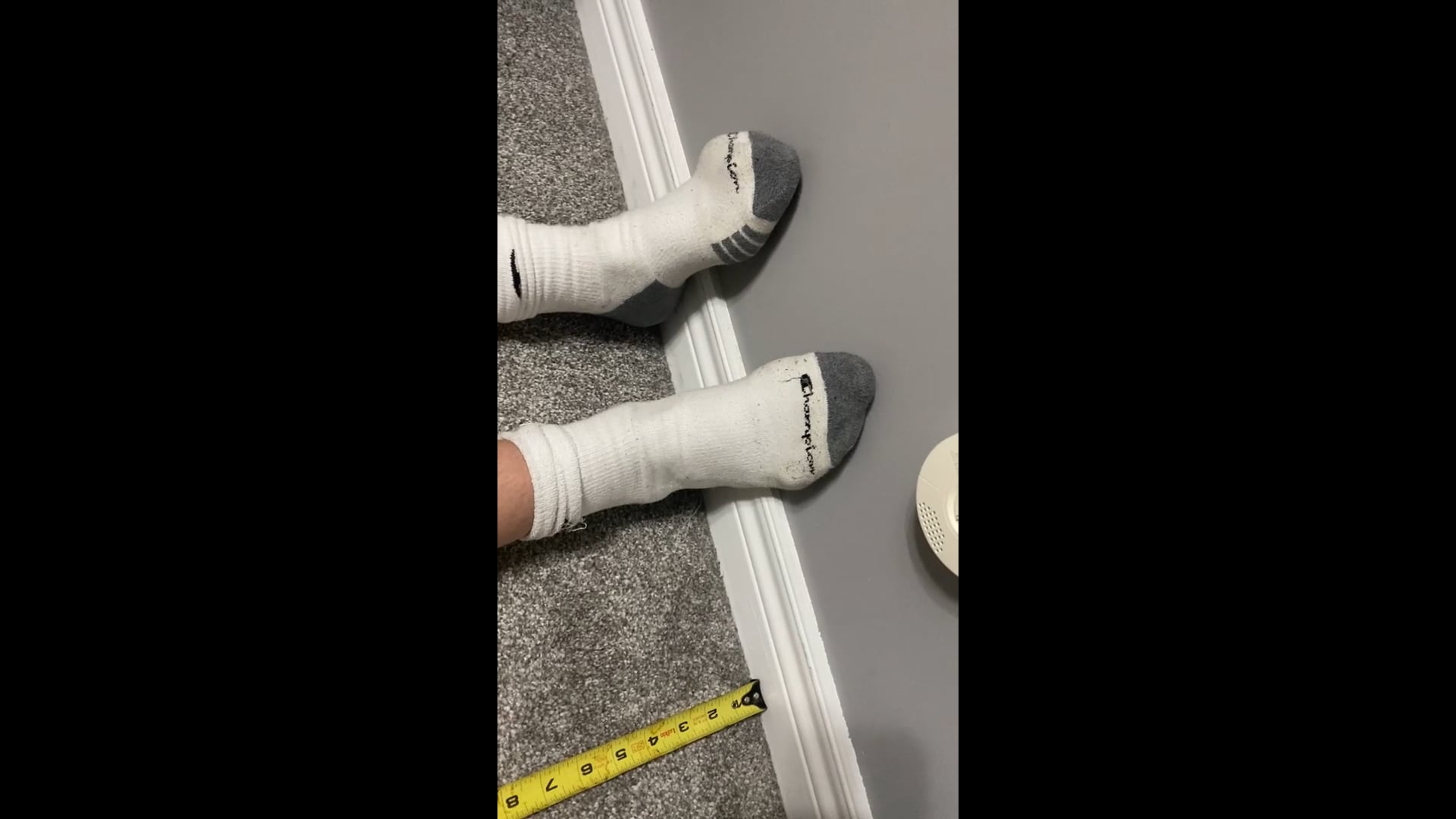 Watch PurpleShift athlete's Height: 62.6 inches