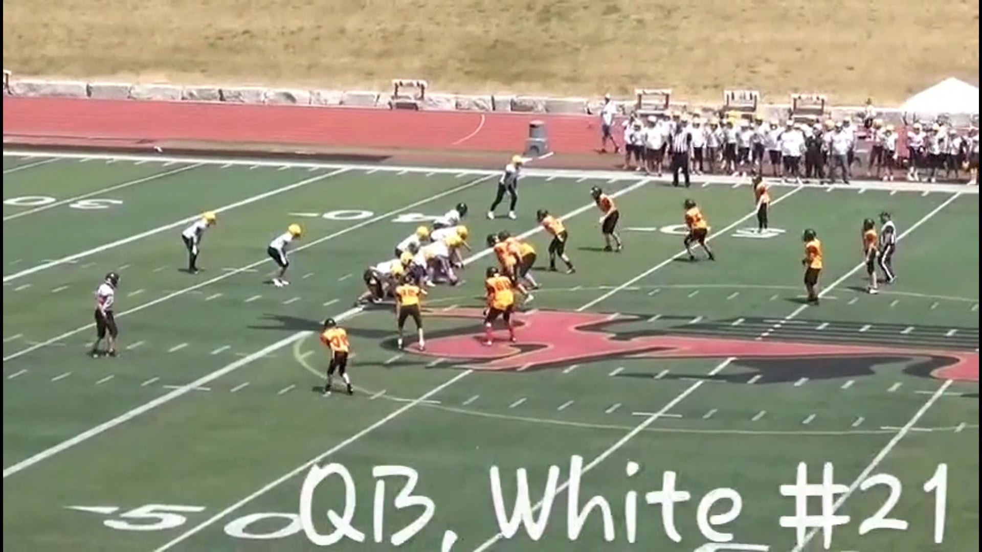 Watch PurpleShift athlete on PurpleShift