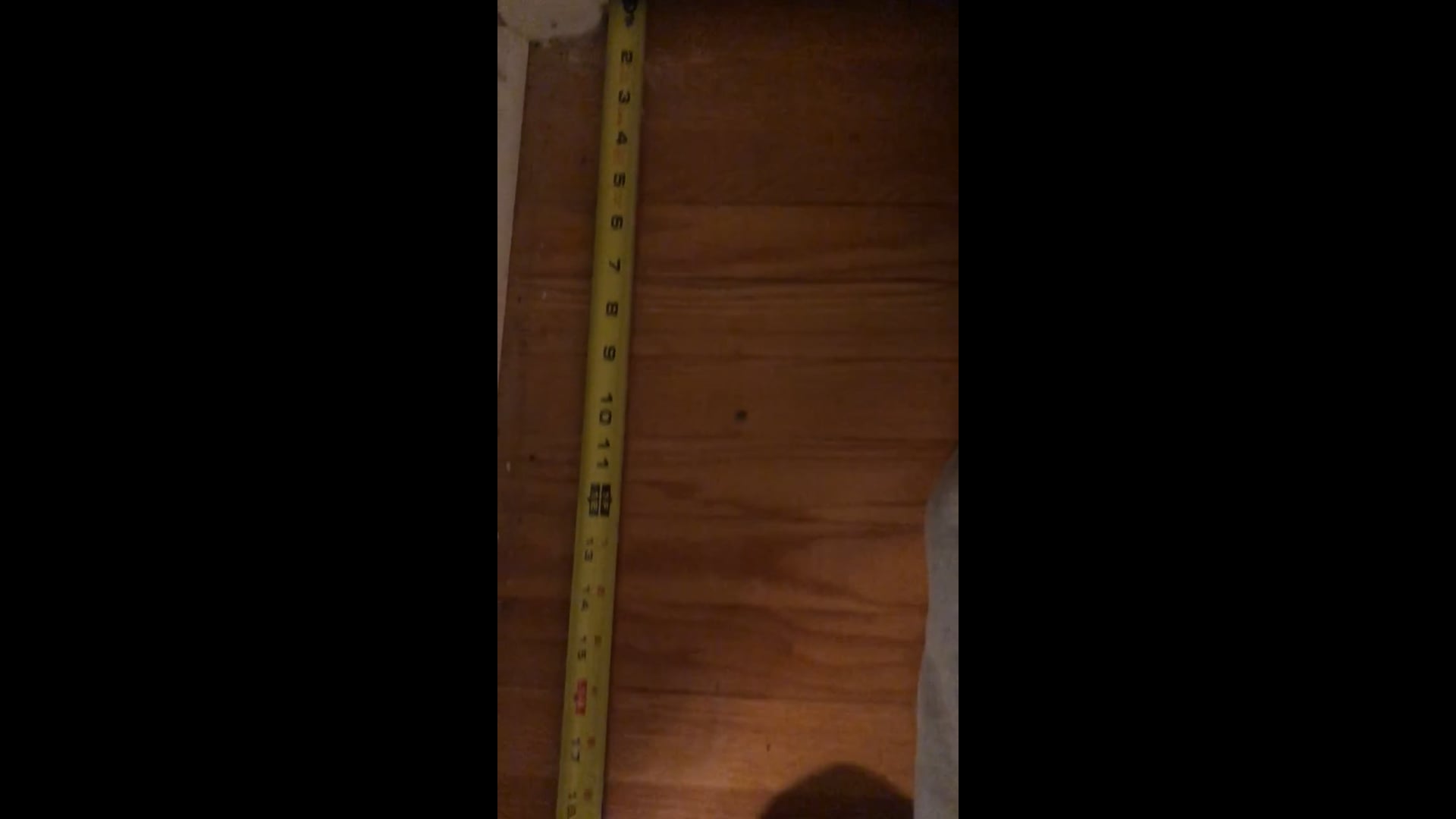 Watch PurpleShift athlete's Height: 73.2 inches