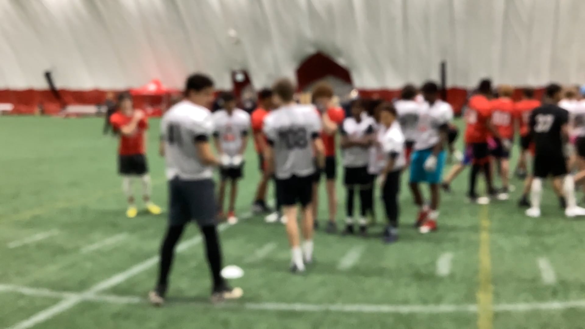 griffin noble banner