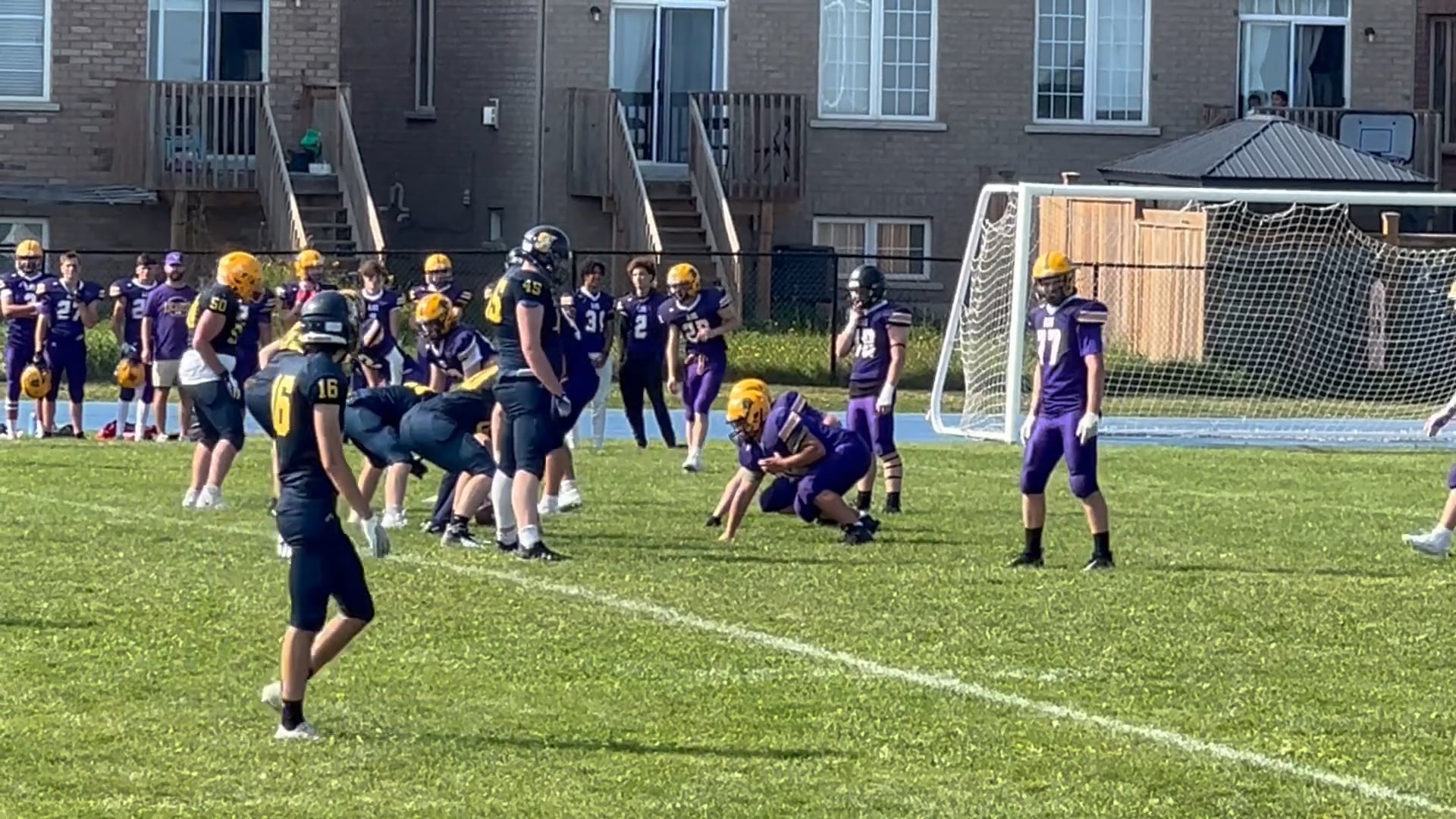 Watch miles goldsmith on PurpleShift