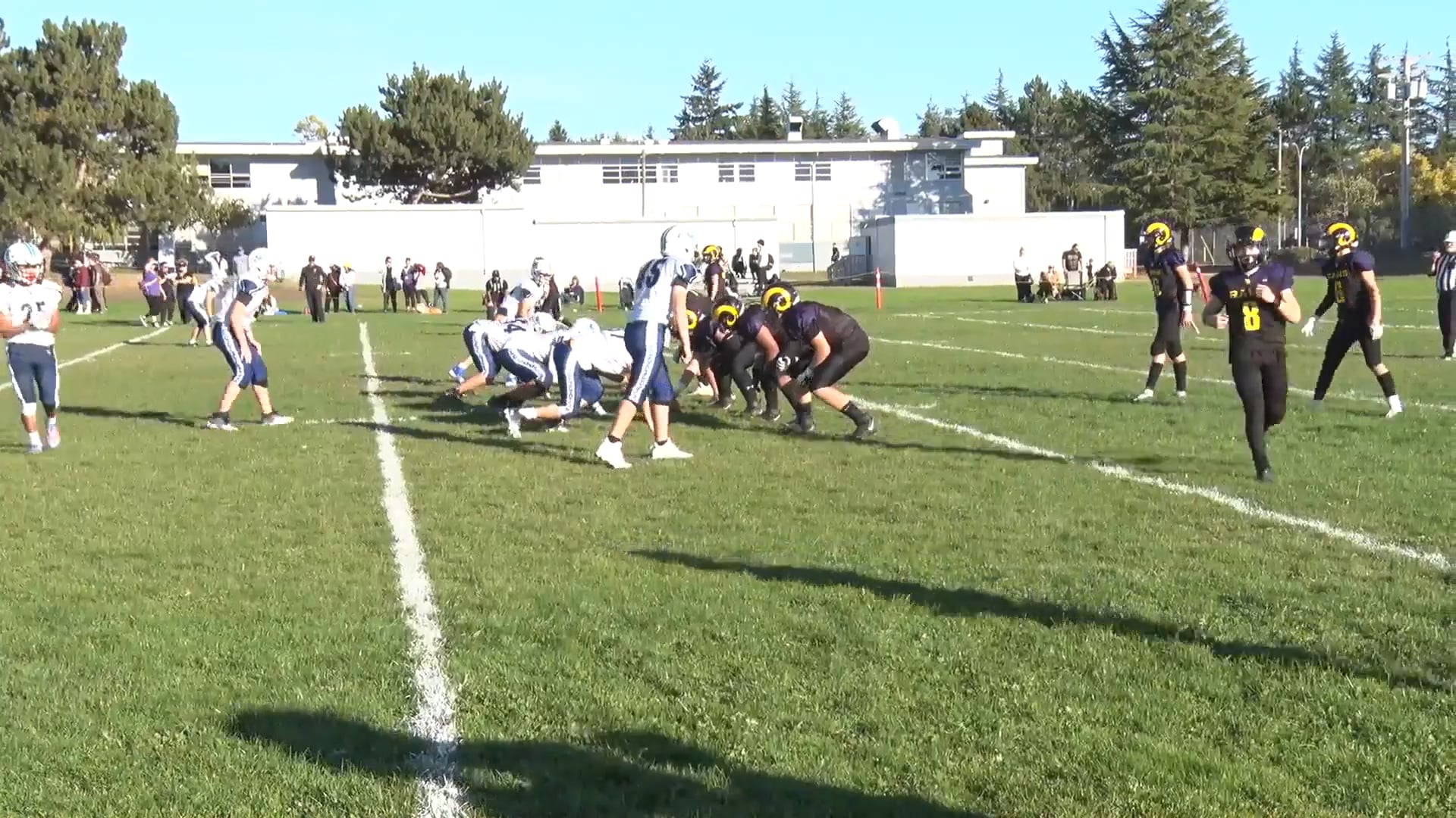 Watch brylin vandoren on PurpleShift