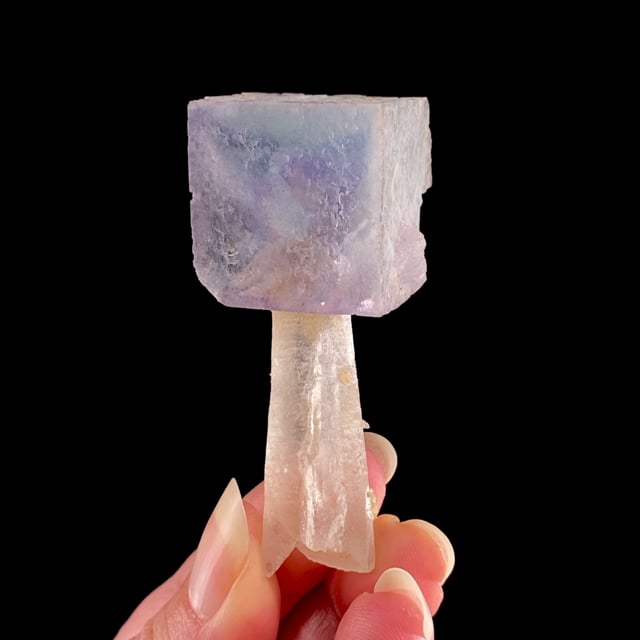 Fluorite (multi-colored crystal) on Quartz