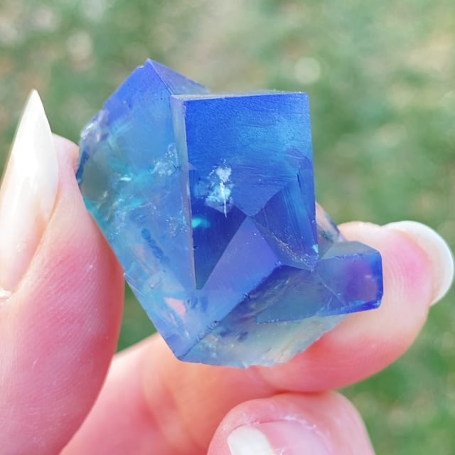 Fluorite (GEMMY crystals - fluorescent)