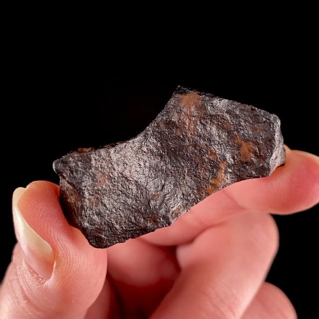Meteorite (iron octahedrite)