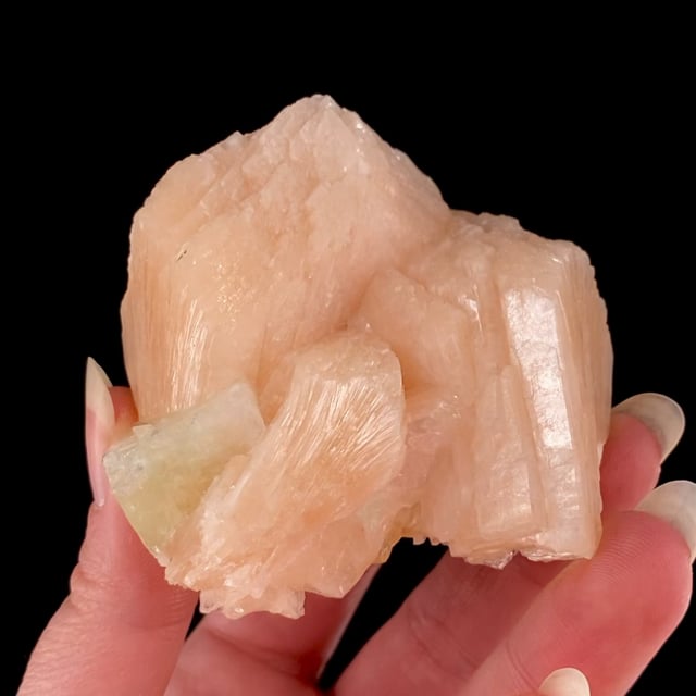 Stilbite-Ca with Fluorapophyllite-(K)