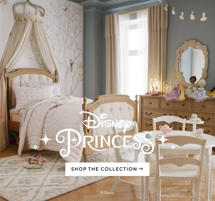 Pottery Barn Kids Disney Princesses Bundle factory