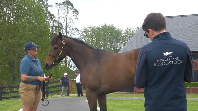 2023 Ready to Run Sale | Woburn Farm, Adrian Stanley