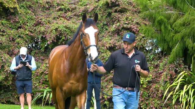 2023 Ready To Run | Leanach Lodge, Ross MacKay