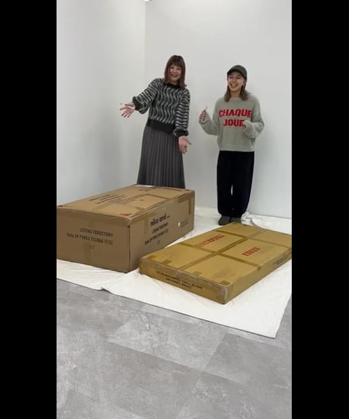 幅132cm］2人掛けソファ/リビングテリトリーシリーズ【大型家具 
