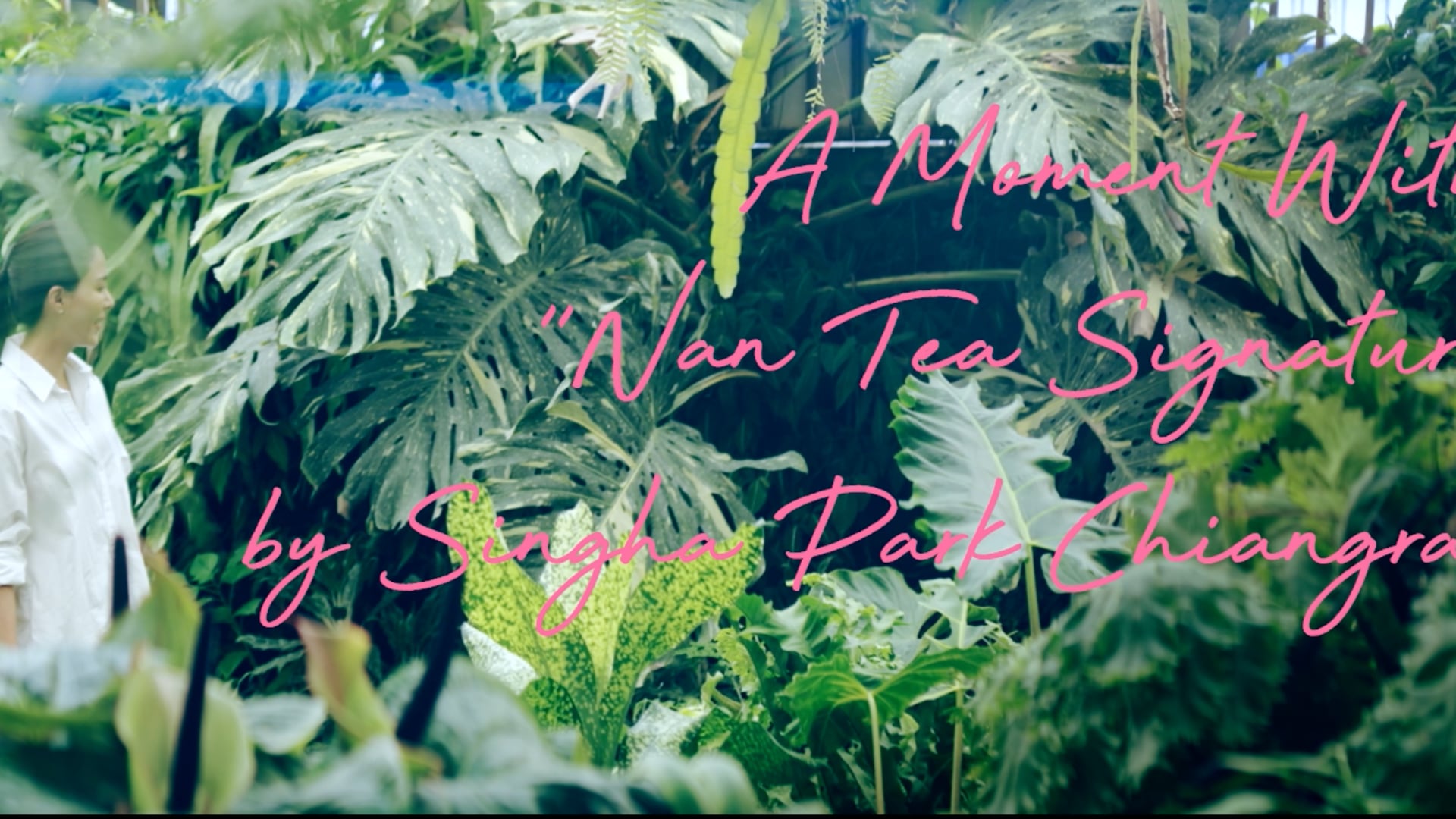 Singha Park Chiangrai