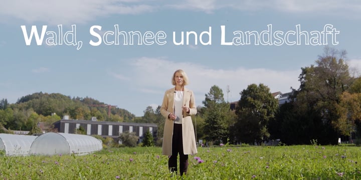 Eidg. Forschungsanstalt WSL: Impressionen aus fünf Forschungsthemen