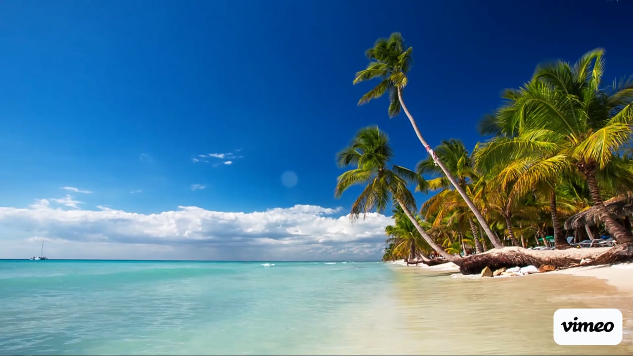 Achtergrondvideo website strand
