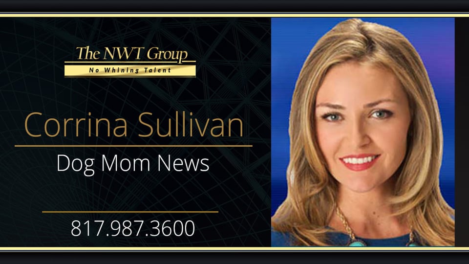 Dog Mom News