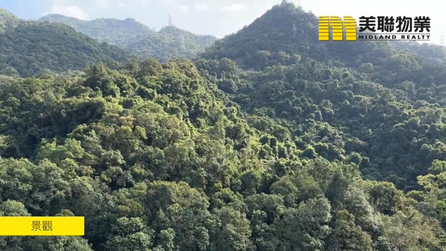 世界花园 沙田 中层 1752822 售盘