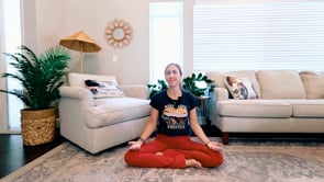 Related Embedded Video Item Thumbnail