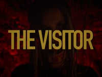 The Visitor