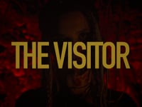 The Visitor