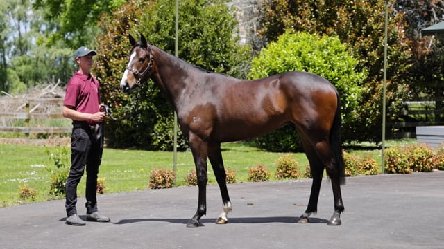 Lot 28