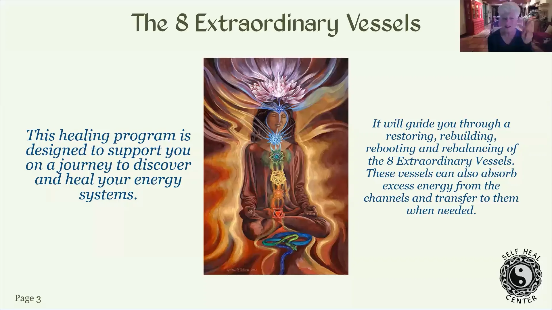 The 8 Extraordinary Vessels Webinar 9310