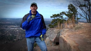 Related Embedded Video Item Thumbnail