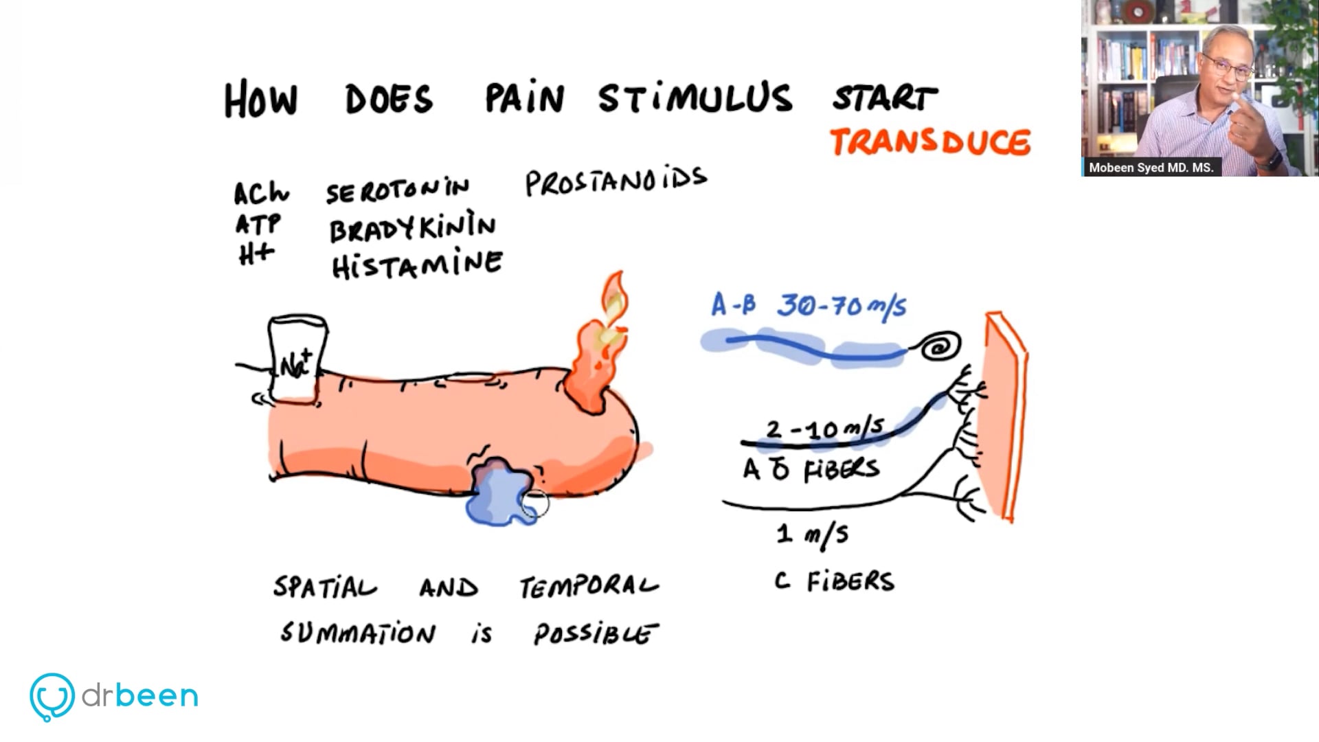 Pain Management - Lateral Spinothalamic Tract (Pain Part 1)