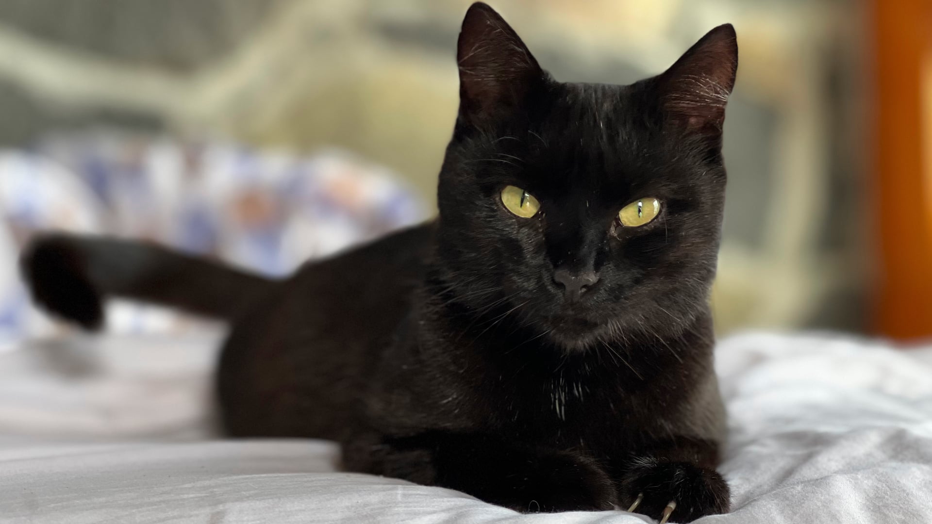 Snuggling is Therapy